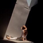 light manipulation